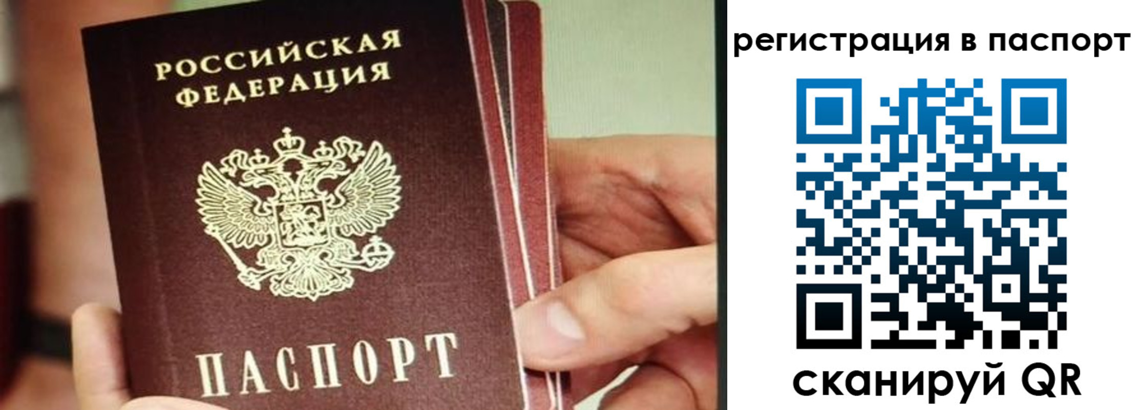 временная регистрация надежно в Сольцах
